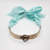 Elizabeth Articulated Crystal Buckle Seafoam Silk Choker/Bracelet